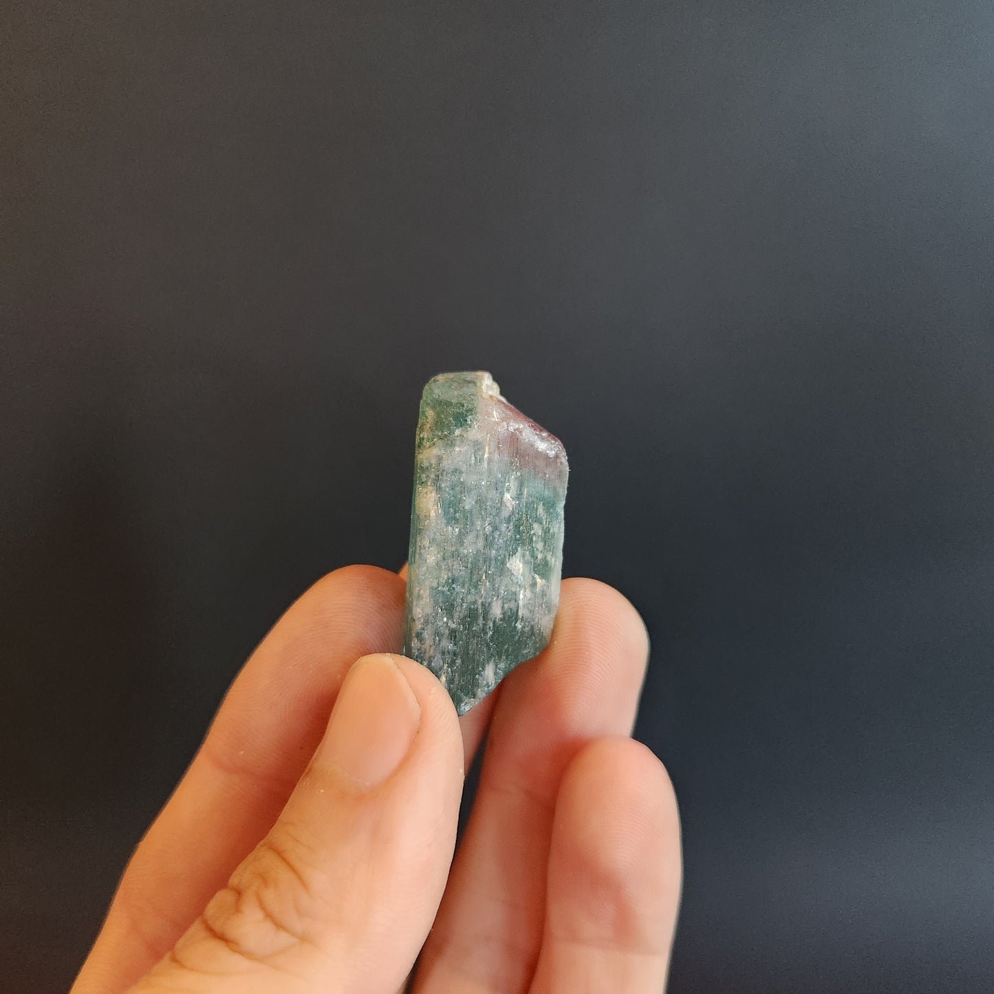 Bi-colored Tourmaline