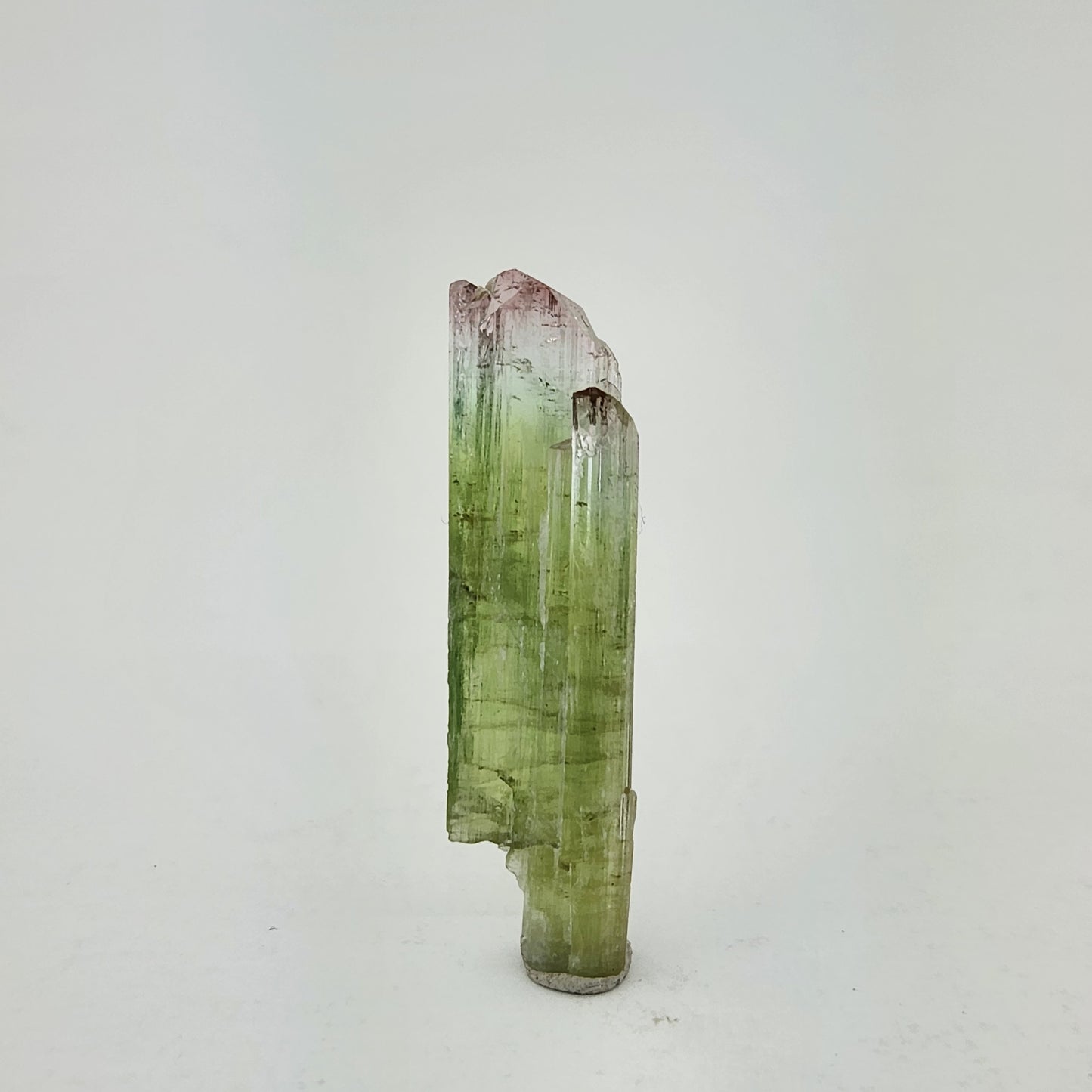 Bi-Colored Pink and Green Tourmaline Crystal Specimen