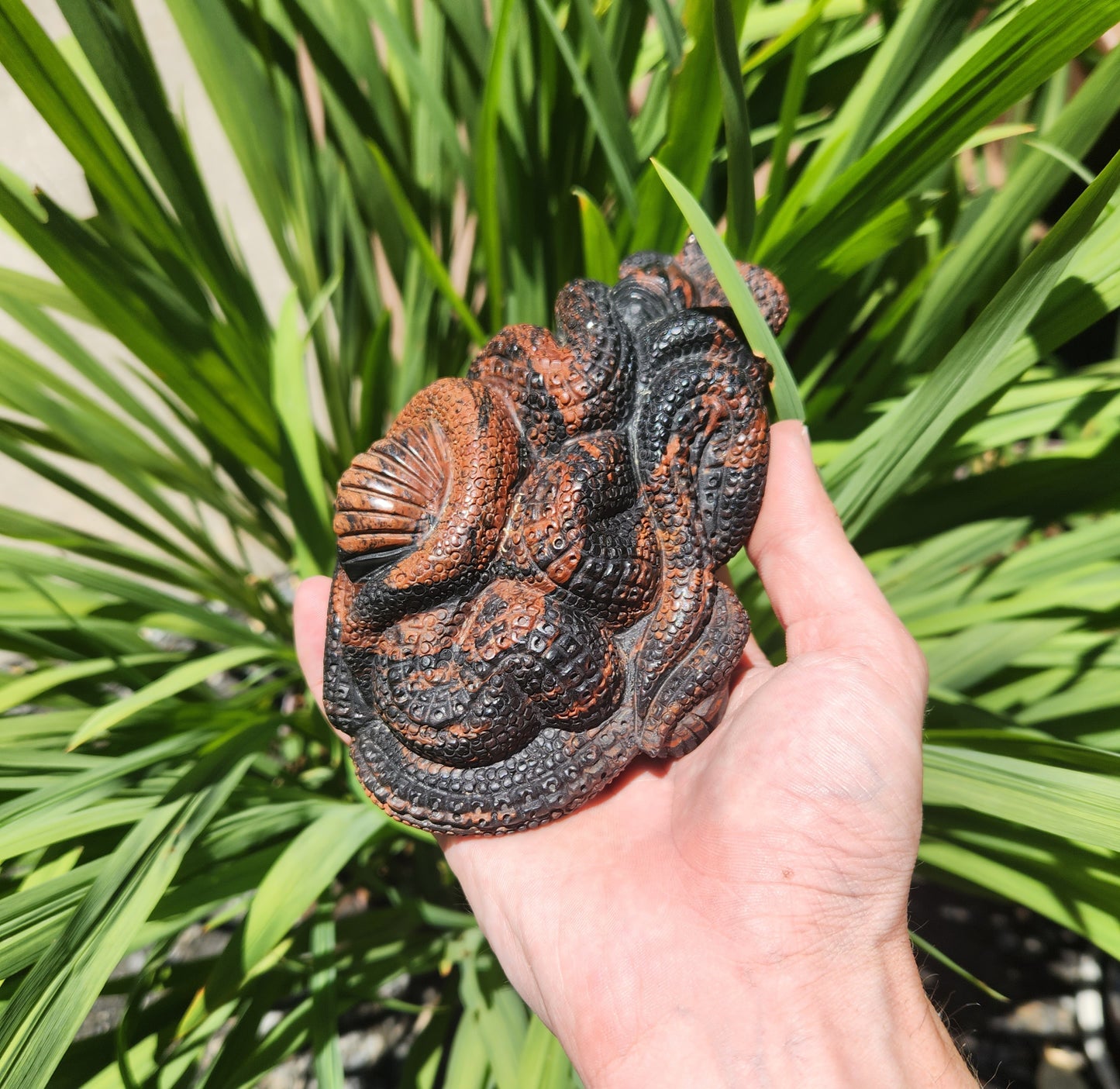 Obsidian Octopus Ocean Scene Carving