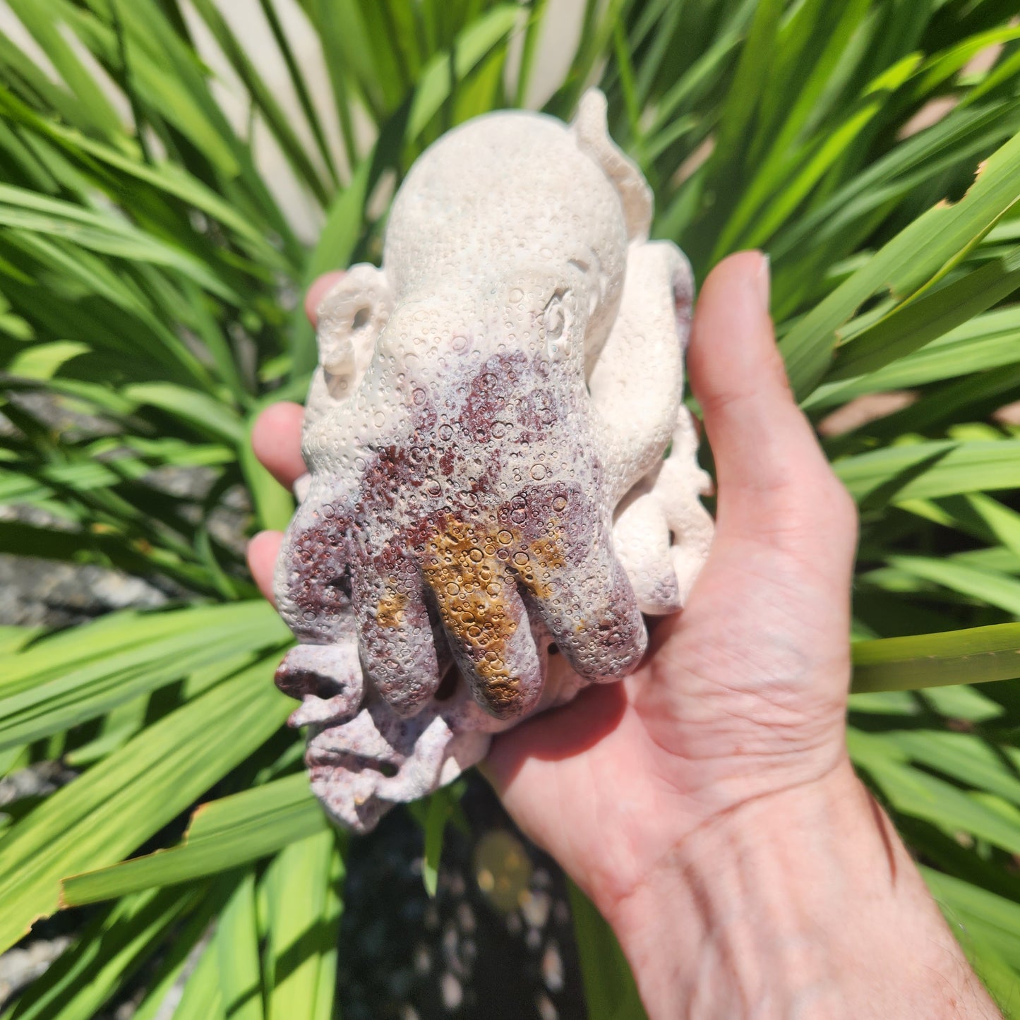 Tiffany Stone Octopus Carving