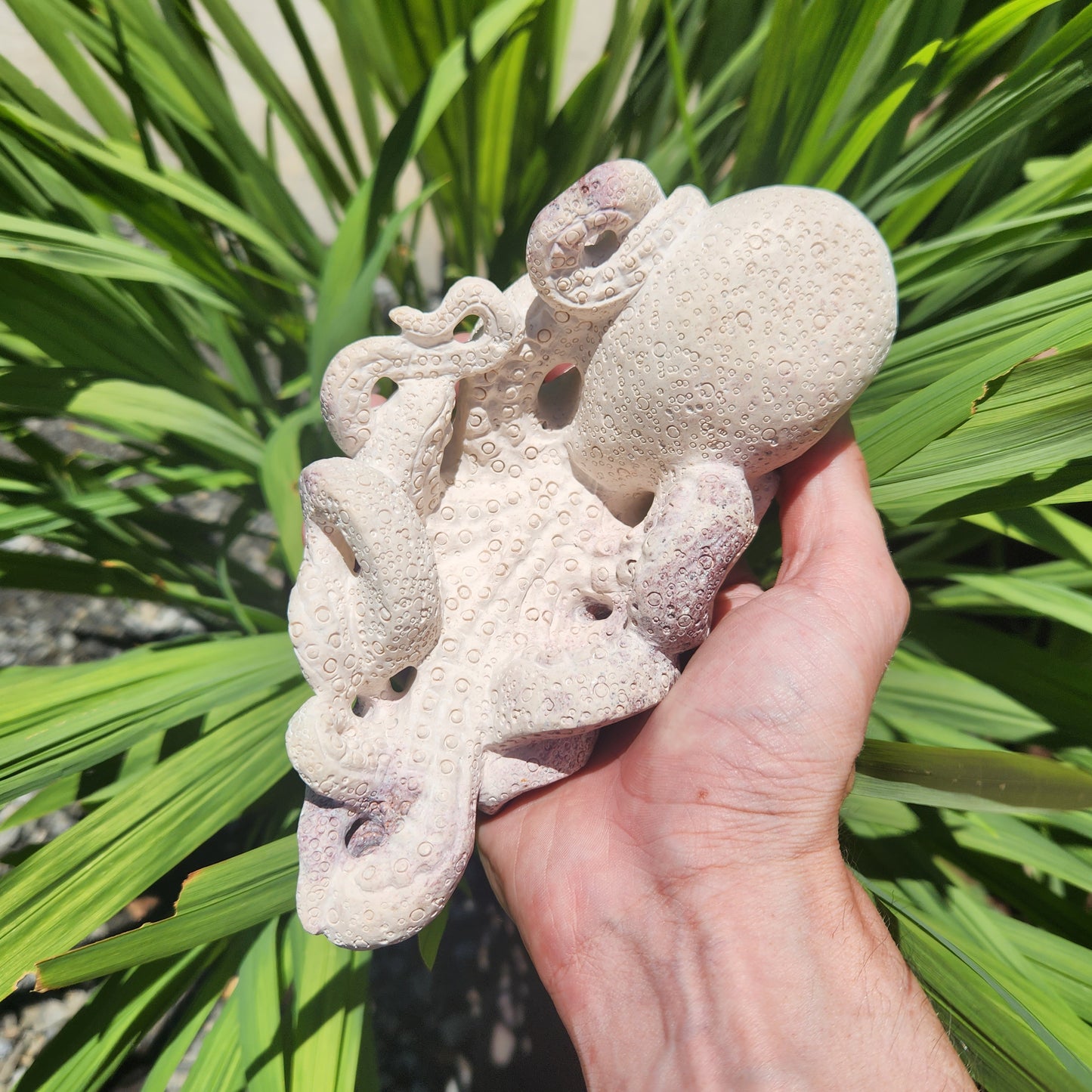 Tiffany Stone Octopus Carving