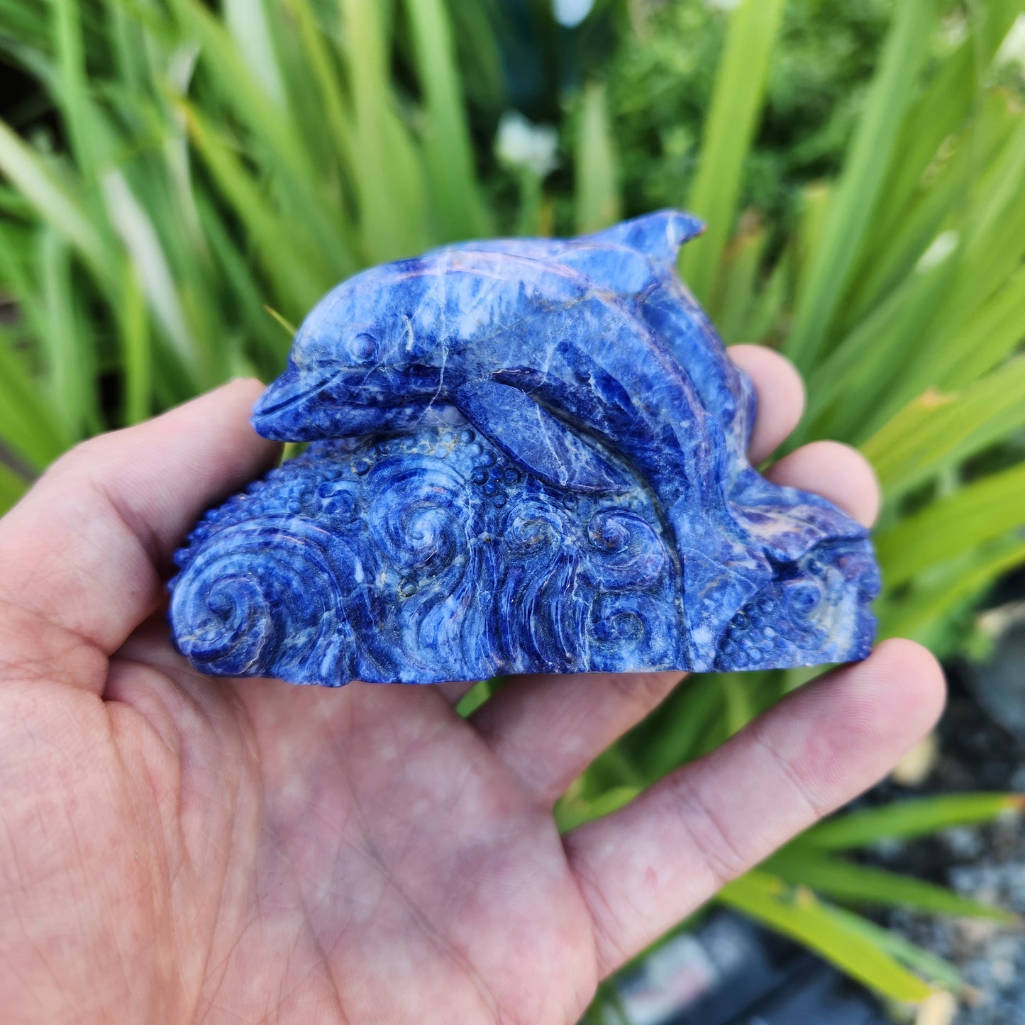 Dolphin Ocean Scene Handcarved into Sodalite