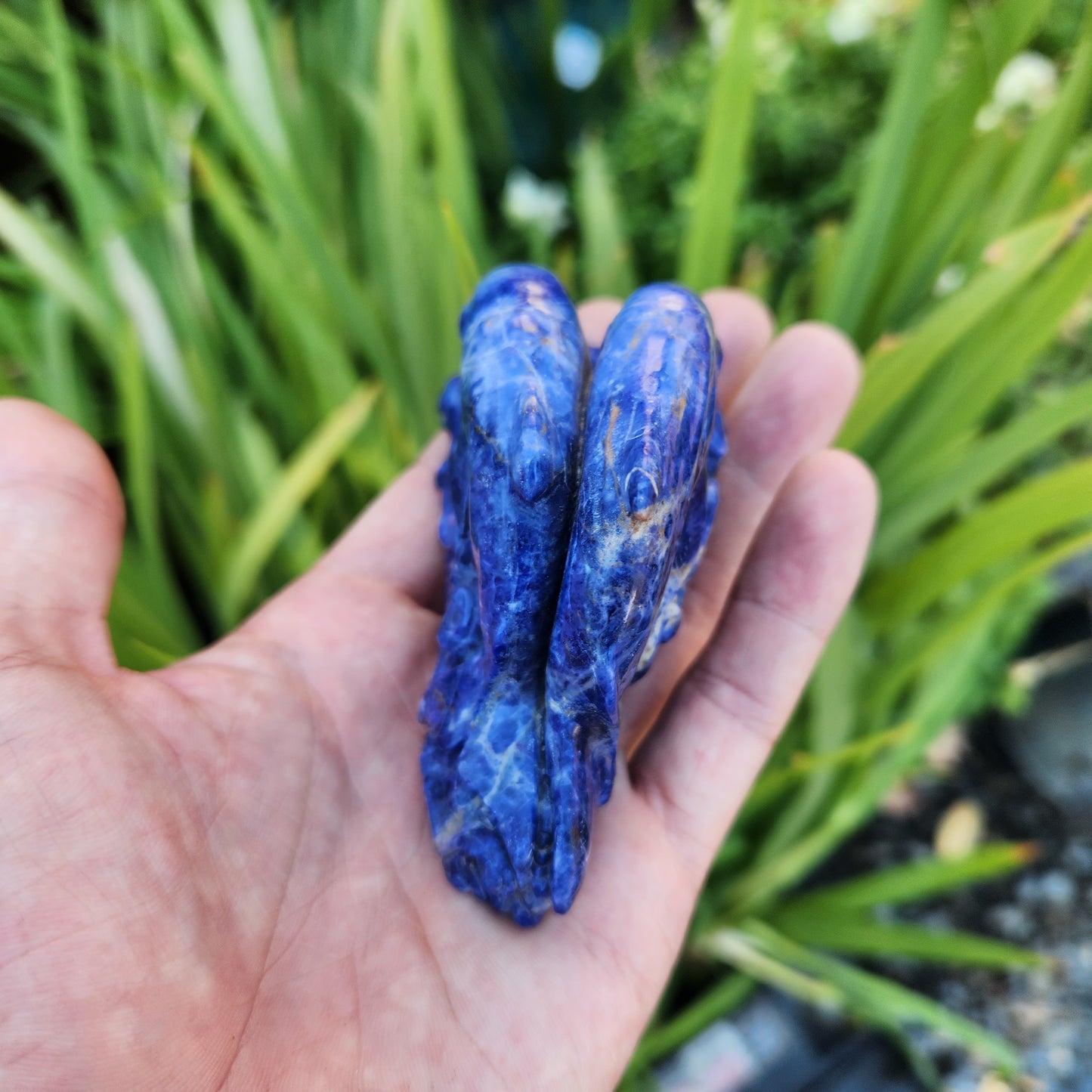 Dolphin Ocean Scene Handcarved into Sodalite