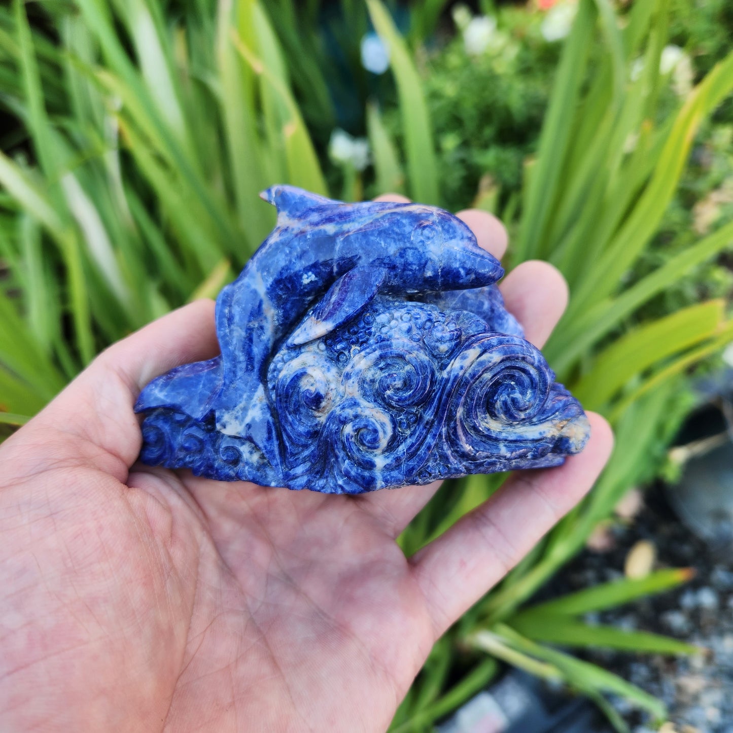 Dolphin Ocean Scene Handcarved into Sodalite
