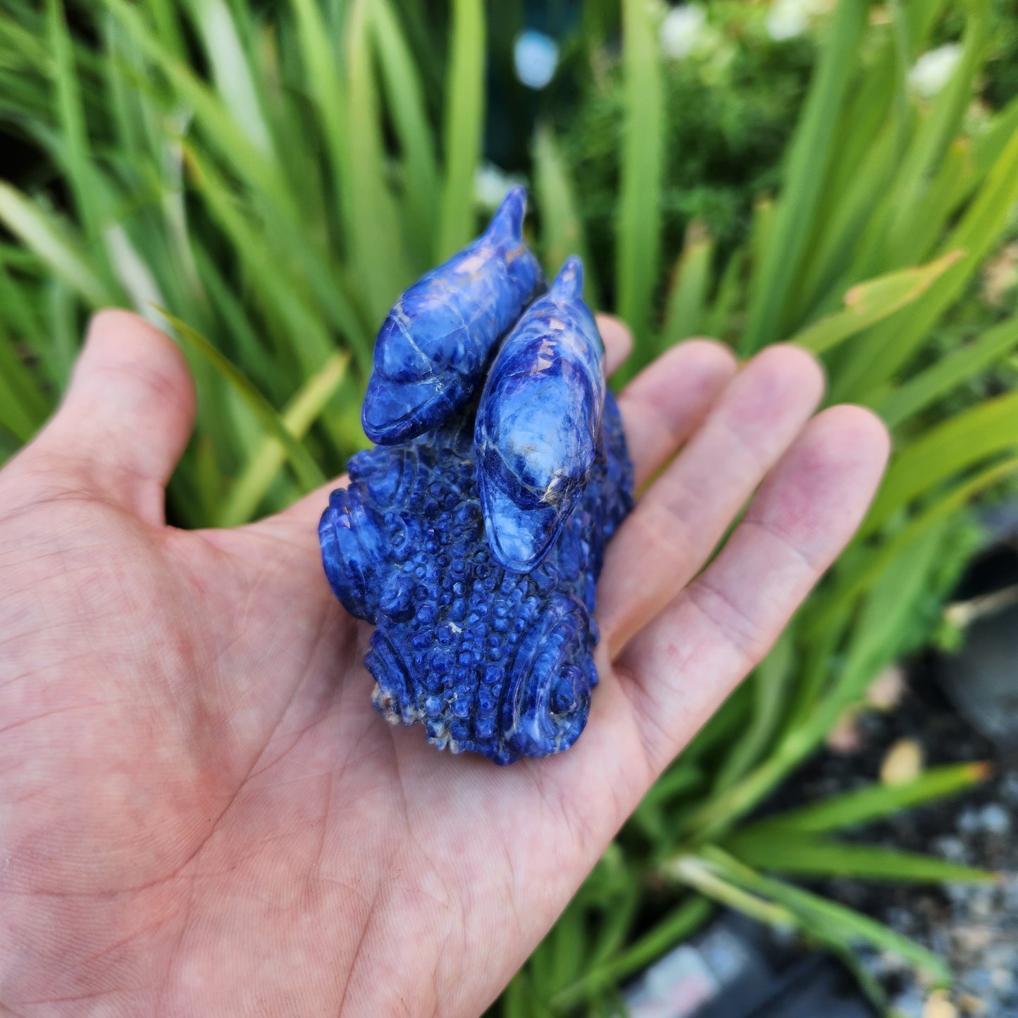 Dolphin Ocean Scene Handcarved into Sodalite