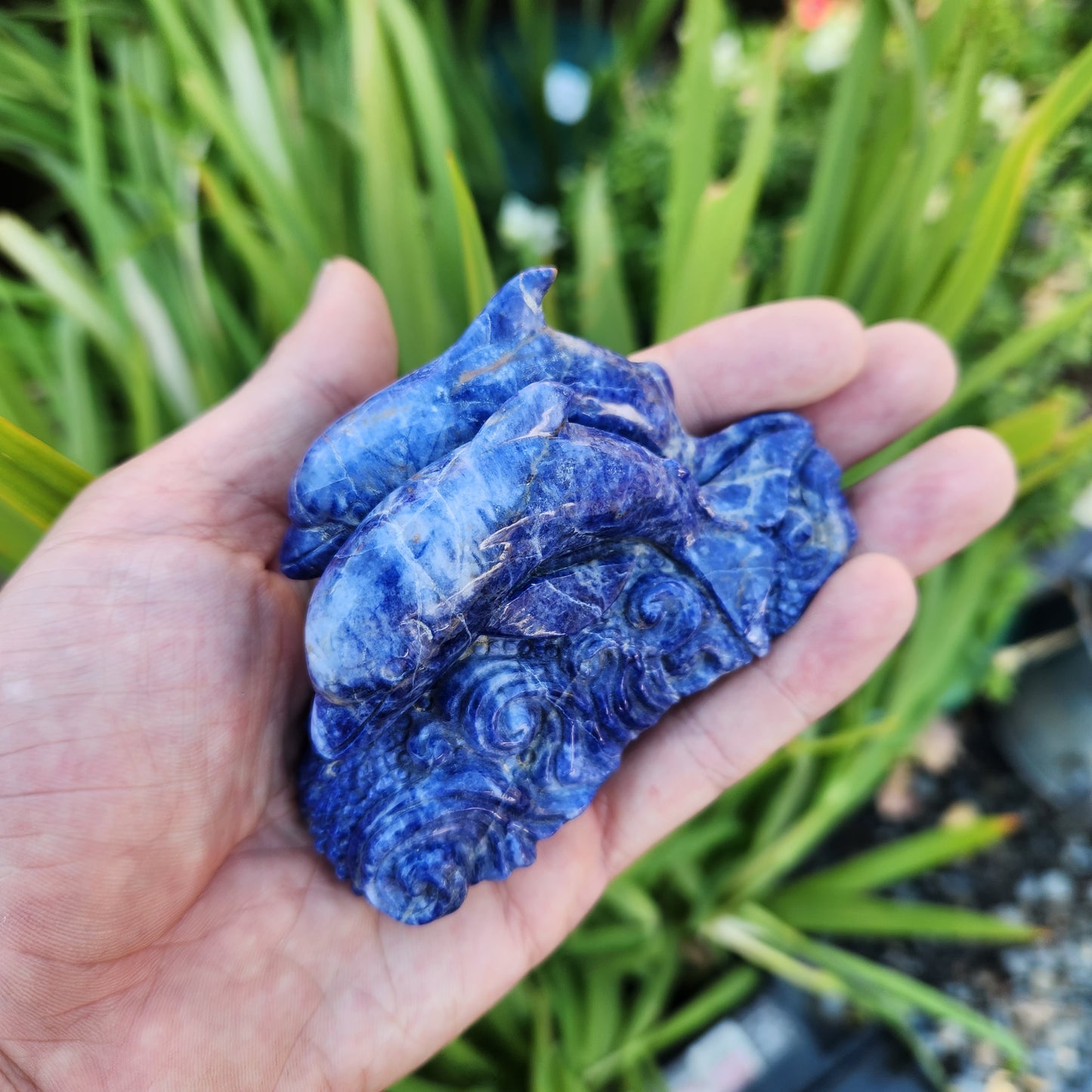 Dolphin Ocean Scene Handcarved into Sodalite
