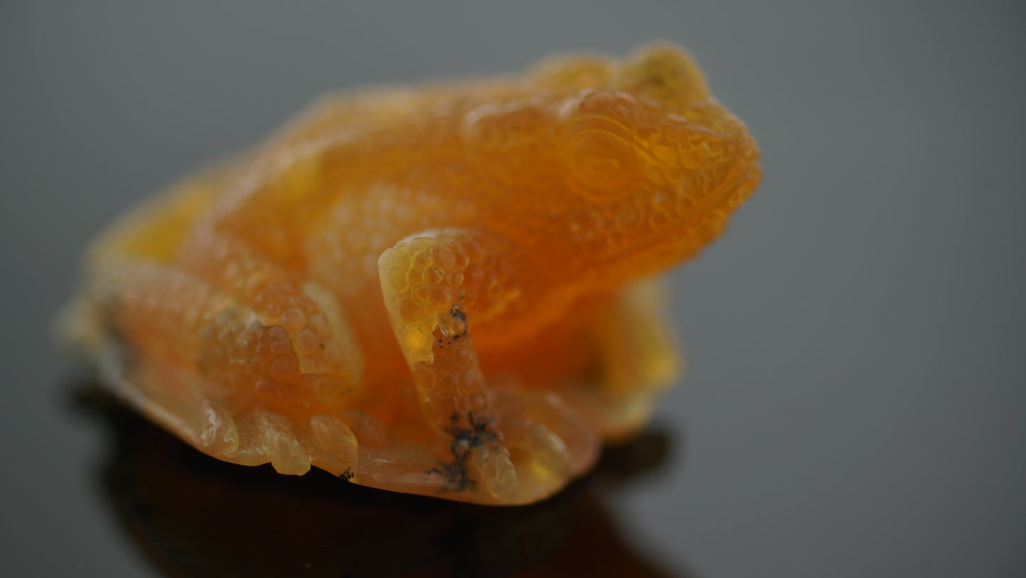 Oregon Opal Frog