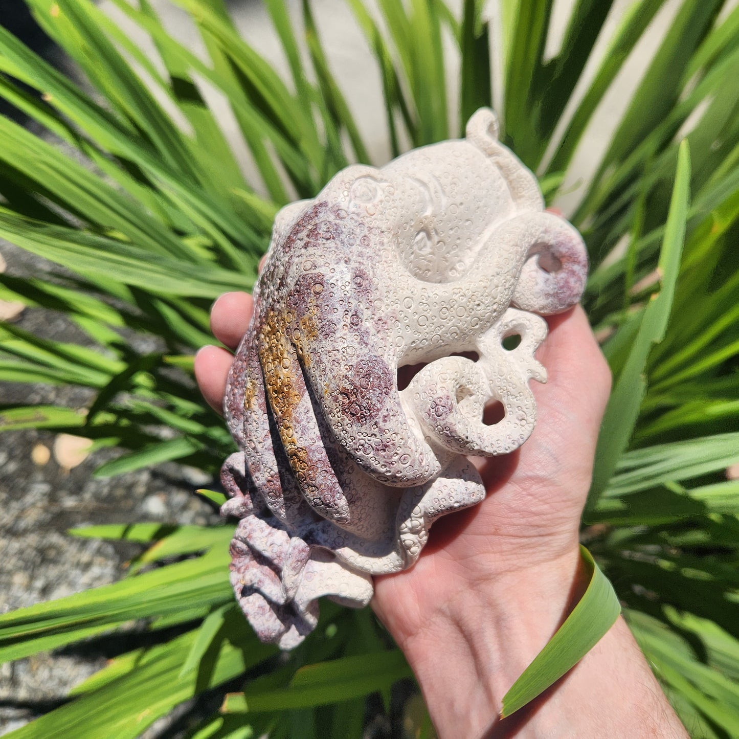 Tiffany Stone Octopus Carving